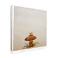 thumbnail image 2 of Wendy Edelson 'Mushroom' Canvas Art, 2 of 4