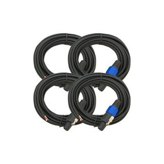 Seismic Audio 4  25' PA/DJ Raw Speaker Cable to Speakon Black - SPRW25FourPack