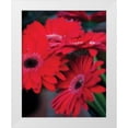 thumbnail image 3 of Erin Berzel 15x18 White Modern Wood Framed Wall Art Titled - Red Gerbera Daisies I, 3 of 5