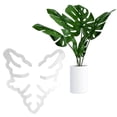 thumbnail image 1 of Abrazadera Bambú Concha Soporte Agarre para Plantas Monstera Flores Y Verduras, 1 of 9