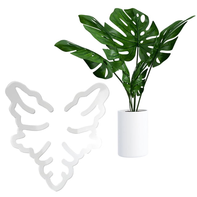Abrazadera Bambú Concha Soporte Agarre para Plantas Monstera Flores Y Verduras