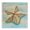 Coastal Teak Starfish, variant on Stupell Industries Rustic Lodge Rustic Coast Teak Canvas Art, 17 x 17, by Paul Brent