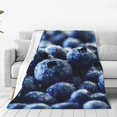thumbnail image 1 of Balery Blueberry Manta de Felpa Suave y Acogedora – Cobija de Franela Aterciopelada para Cama, Lavable y Cálida para Sofá, Mascotas, Transpirable-60"x50", 1 of 7