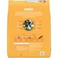 thumbnail image 3 of Iams Proactive Health Chicken Dry Dog Food For Puppies, 30.6 Lb Bag, 3 of 12