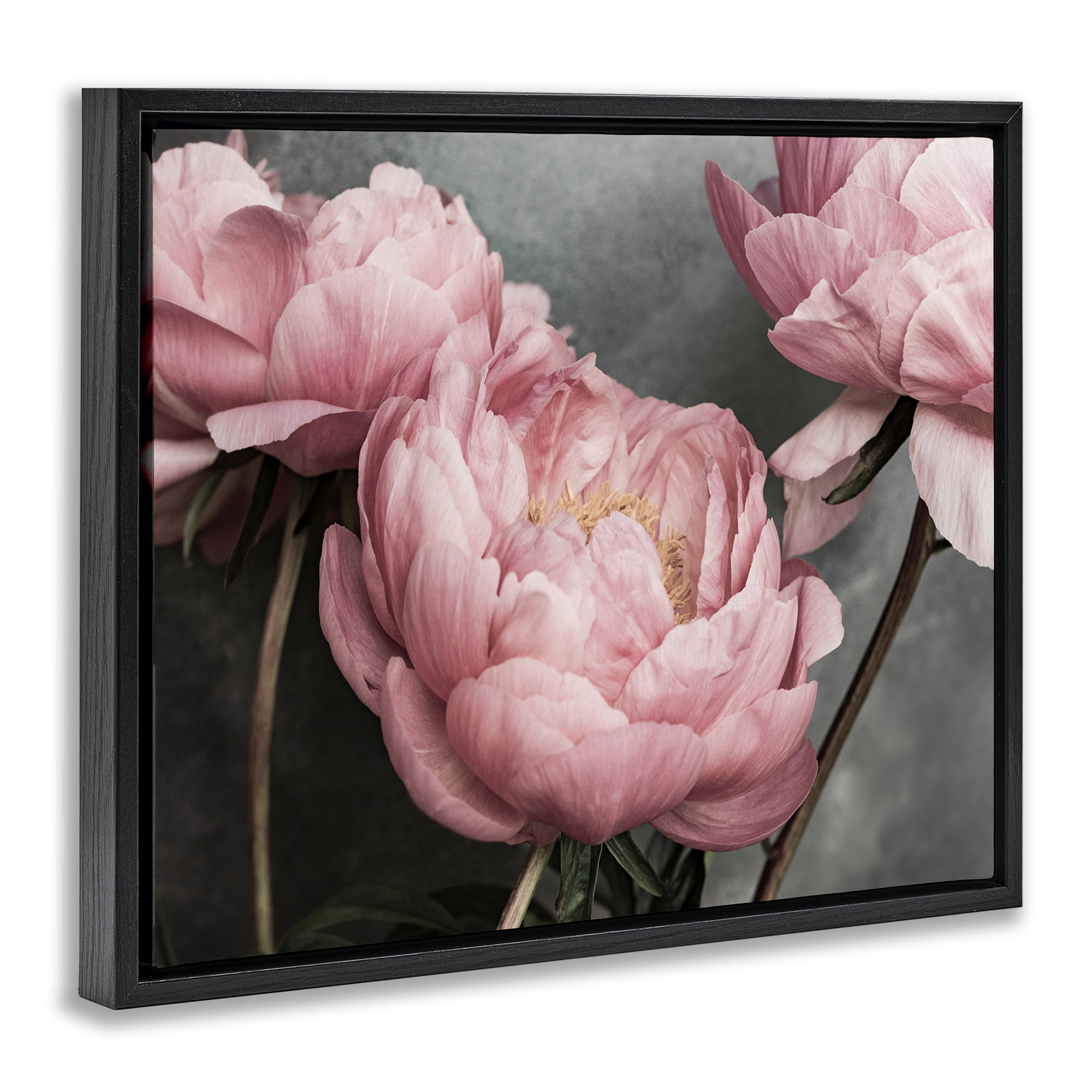 Stupell Industries Pink Peonies Trio Plants & Flowers Painting Black Floater Framed Canvas Art Print Wall Art, 21 x 17
