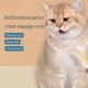 thumbnail image 2 of Celery Pets Cat Tongue Comb, Simulated Cat Tongue Comb, 2 of 4