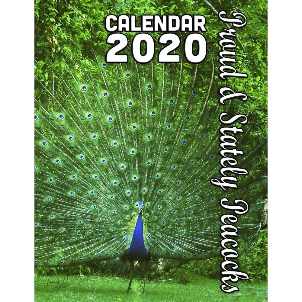 Proud and Stately Peacocks Calendar 2020 14 Month Desk Calendar for