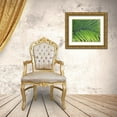 thumbnail image 3 of Larson, Scott 24x20 Gold Ornate Wood Framed with Double Matting Museum Art Print Titled - Green Palm I, 3 of 4