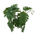 thumbnail image 4 of Reptile Terrarium Plant Decoration, Nature Plastic  Leaf Rattan Simulation Safe Bite Resistant  For Reptile Terrarium For Home Decoration, 4 of 8