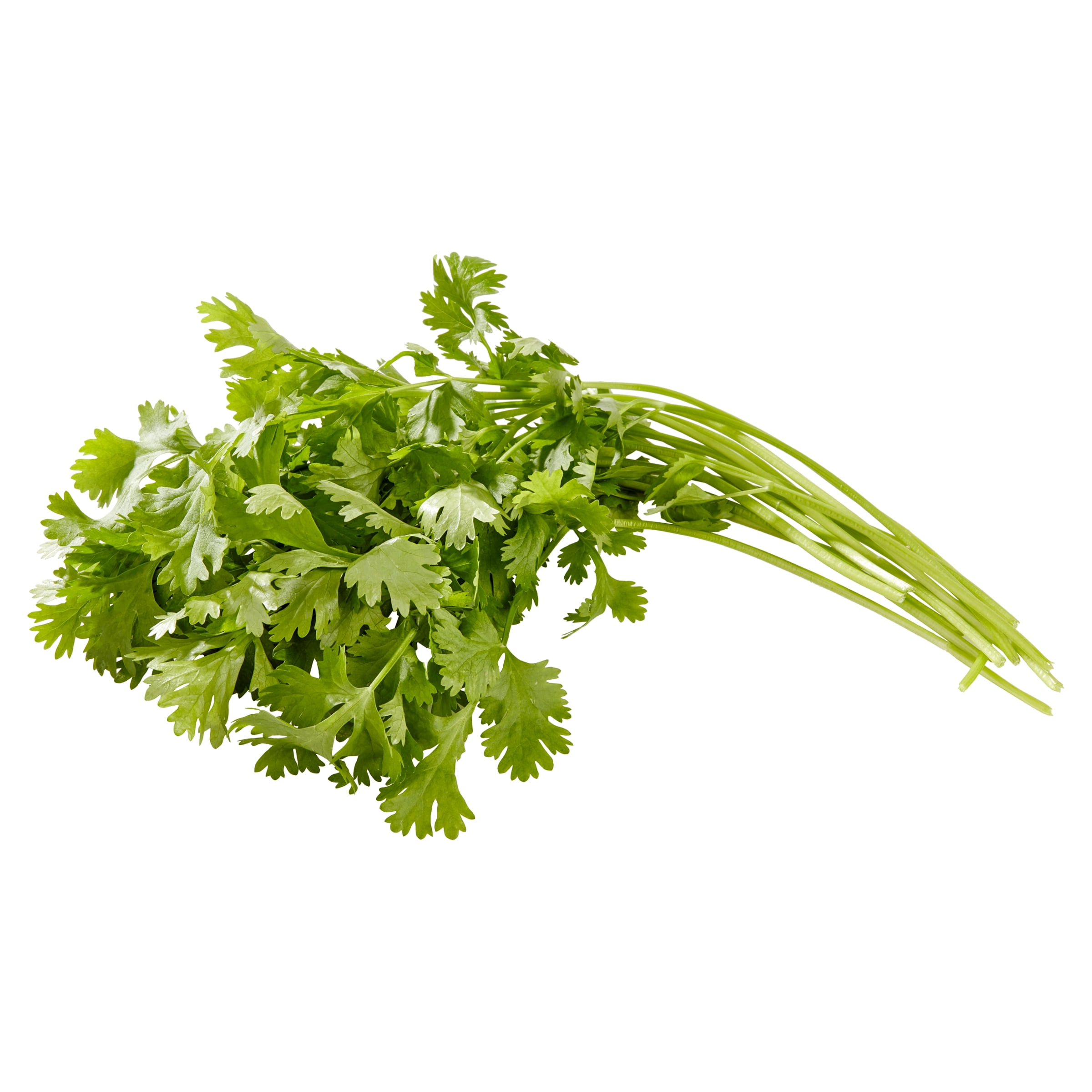 Fresh Cut Cilantro, 0.5 oz Clamshell