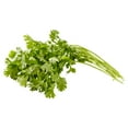 thumbnail image 3 of Fresh Cut Cilantro, 0.5 oz Clamshell, 3 of 3