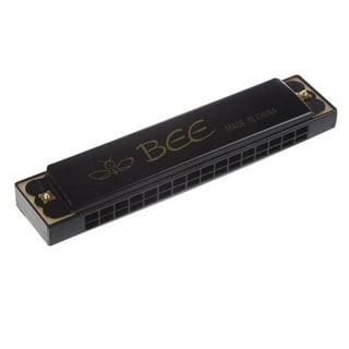 Best harmonica under 1000 deals