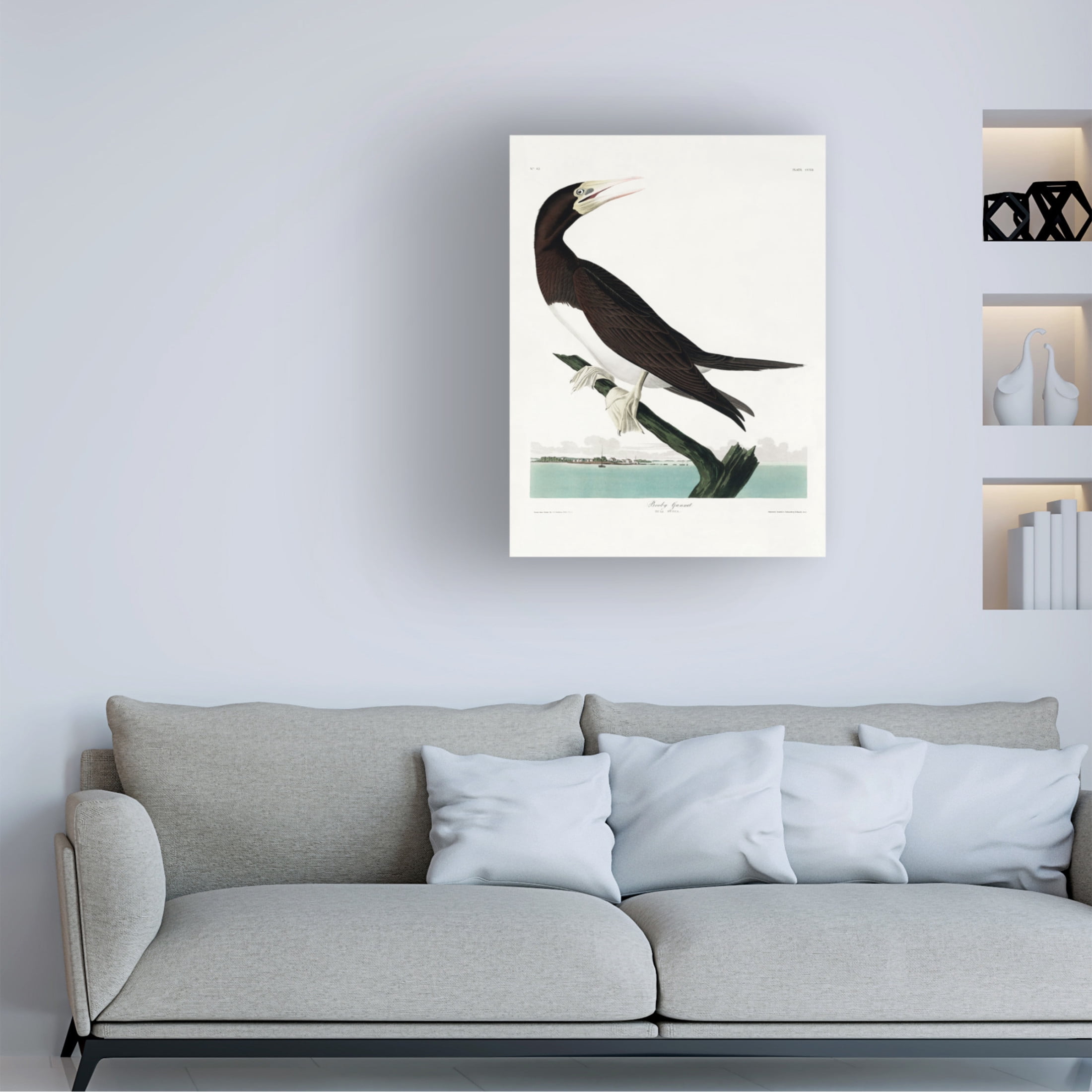 Trademark Fine Art Pictufy Booby Gannet From Birds of America 1827 Canvas Wall Art