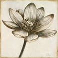 thumbnail image 2 of Great Art Now Sepia Lotus II by Patricia Pinto, Framed Wall Art, 17.5W x 17.5H, 2 of 3