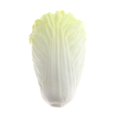 thumbnail image 1 of artificial vegetal pu espuma falso bebé col amarillo Repollo amarillo Gloria Verduras Artificiales Realistas, 1 of 9