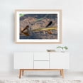 thumbnail image 6 of Damselflies on a Summer Afternoon - York Pennsylvania Photography Insect Dragonfly Nature Wildlife Aquatic Scenic Water Unframed Wall Art Print 32 x 48 inches, 6 of 7