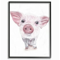 The Stupell Home Decor Collection Cute Baby Piglet Up Close Illustration Wall Art