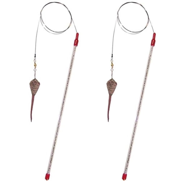 GoCat Cat Catcher Teaser Wand (2 - Pack)