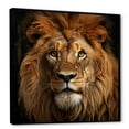 thumbnail image 2 of Designart "Majestic Lion in Brown Portrait II" Animals Framed Wall Art - Traditional Brown Lion Bedroom Framed Canvas Wall Art, 2 of 6