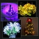 thumbnail image 3 of Luz de cadena RGB Tomshine con cable Flexible de Control remoto 5M / 16.4FT 50 LEDs con batería IP4 Tomshine Cadena de luz, 3 of 7