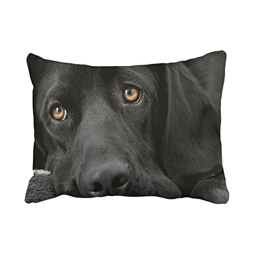 WinHome Decorative Black lab Labrador Retriever Zippered Pillow Cases Cover Size 20x30 inches