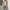 Khaki, variant on Womens Cardigan Clearance Basic Lightweight Cardigan Casual 2024 Solid Button Down Sweater Blue S
