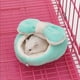 thumbnail image 5 of Cama para hámster, cama colgante para mascotas pequeñas, acogedora y bonita para el invierno, nido para dormir para hámster. Verde, 5 of 6