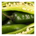 thumbnail image 3 of Chile Serrano por kilo, 3 of 4