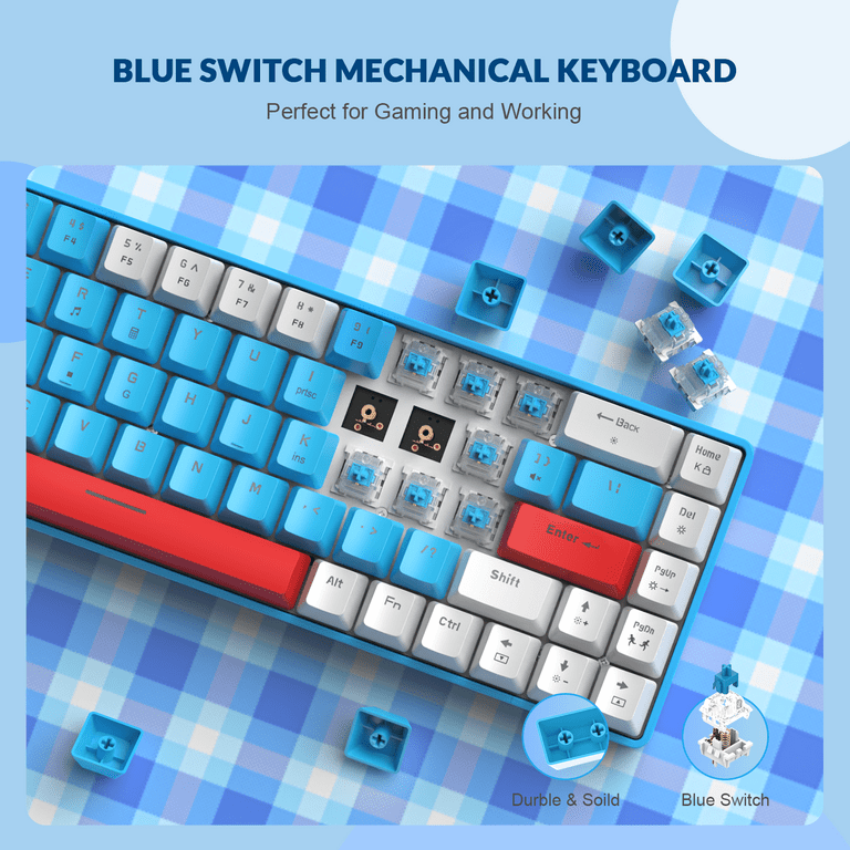 ZIYOULANG T8 Compact 68-Key Gaming Keyboard, Wired, Blue ZIYOULANG T8 Compact 68-Key Gaming Keyboard, Wired, Blue