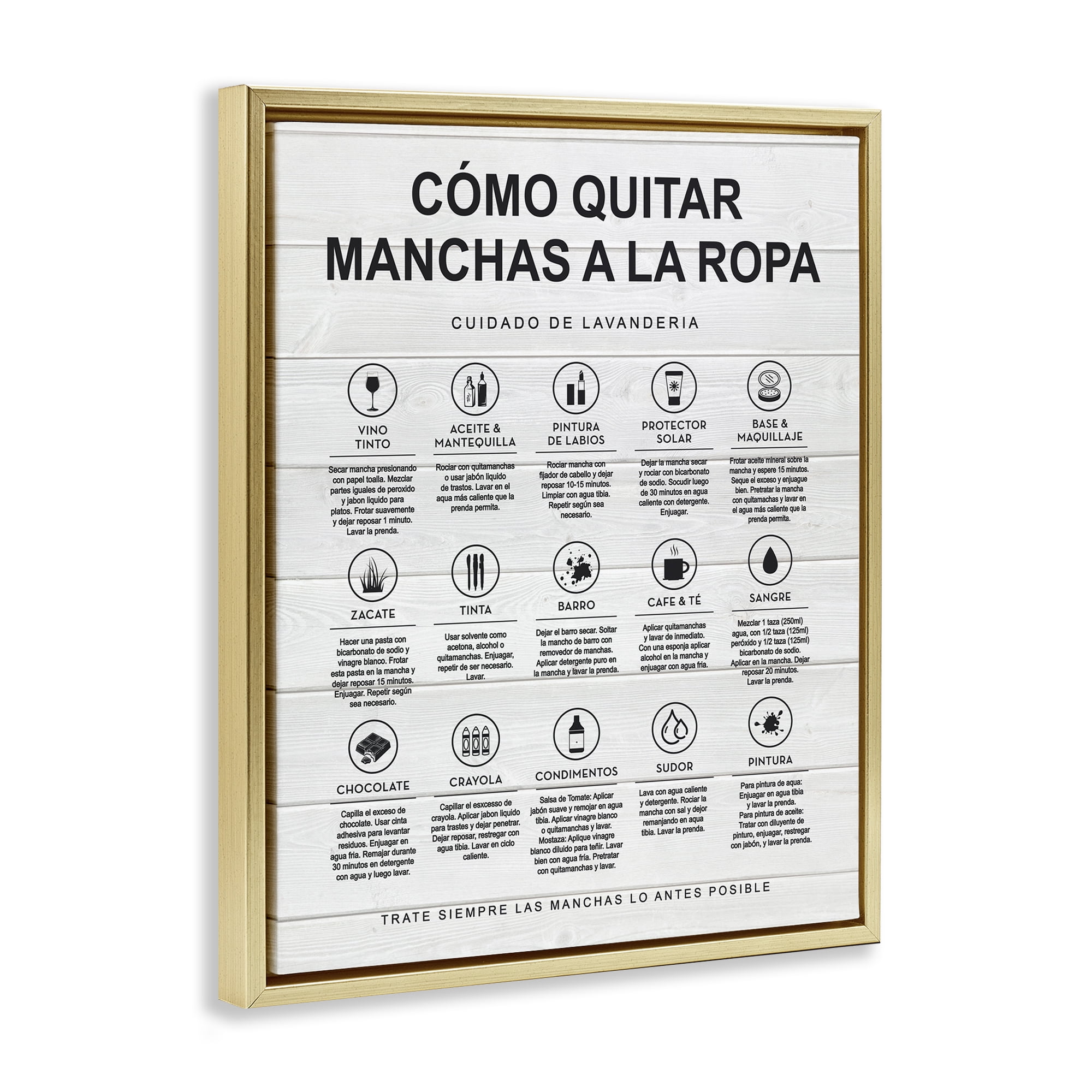 Stupell Industries Guía de Limpieza de Manchas, Blanco Bath & Laundry Painting Gold Floater Framed Art Print Wall Art, 25 x 31