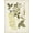 Unframed, variant on Art.com Vintage Flowering Trees VII Art Print by 0 Unknown, 12" x 16"