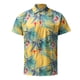 thumbnail image 1 of Camisa hawaiana para hombre, informal, holgada, playera, con solapa y botones Pompotops  oipoqjl44614, 1 of 3