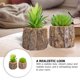 thumbnail image 4 of 2 mini suculentas simuladas en miniatura, bonitas plantas en maceta para decoración de escritorio, 4 of 6
