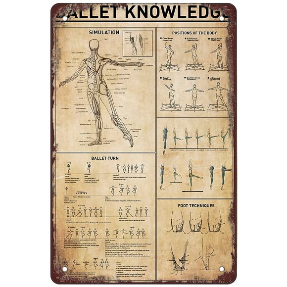 Retro Funny Metal Sign Sheet Signs Tin Sign,Ballet Knowledge 8 x 12 Inches