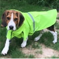 thumbnail image 1 of Impermeable para perros grandes, ajustable, impermeable, ligero, con tira reflectante, 1 of 8