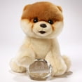 thumbnail image 2 of Boo- Worlds Cutest Dog (Other), 2 of 2