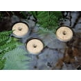 thumbnail image 4 of Mosquito Dunks Biological Mosquito Control, Kills Mosquitoe Larvae 6 Pack, 4 of 5