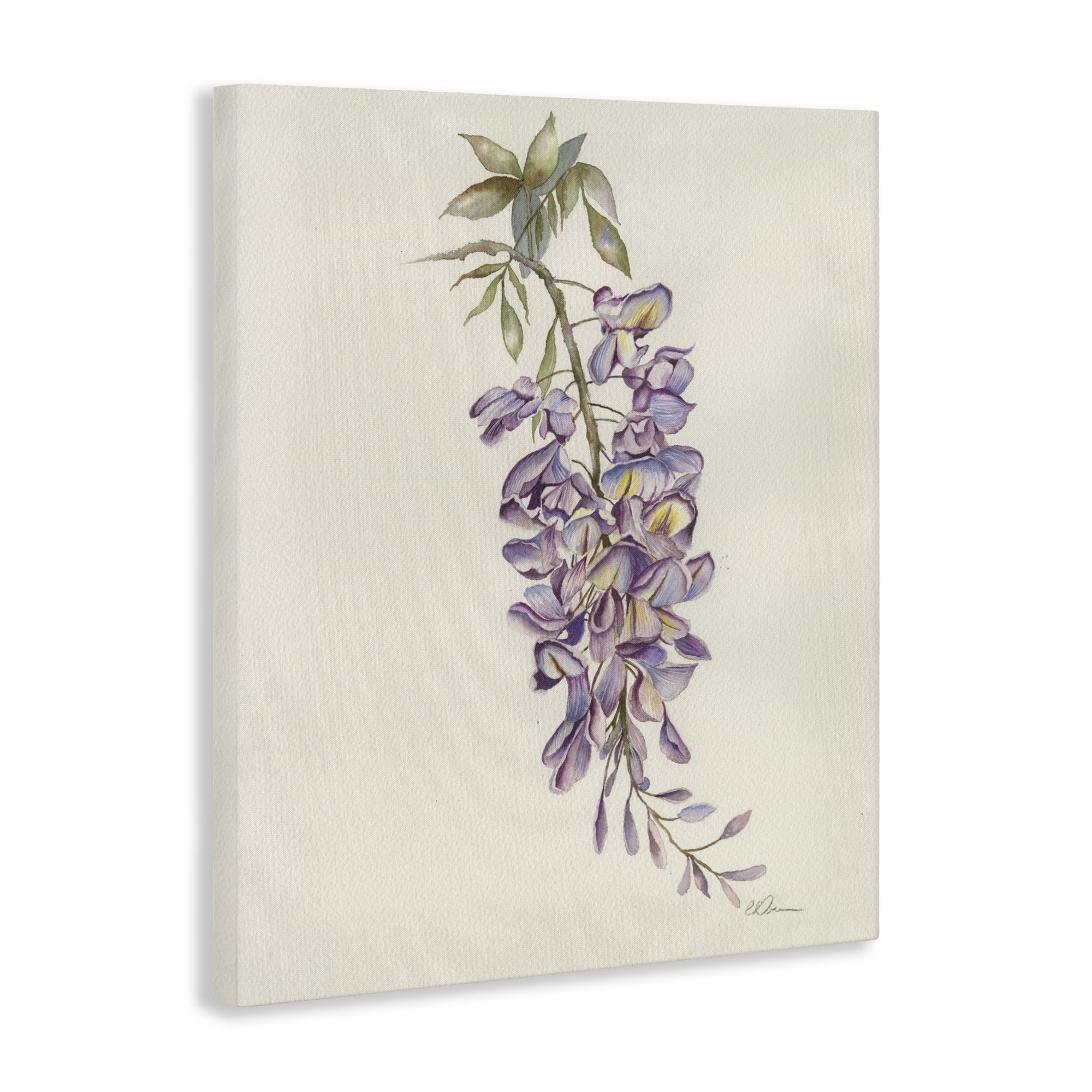 Stupell Industries Delicate Hyacinths Study Canvas Wall Art, design by Cady Driver