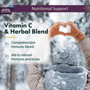 Buried Treasure ACF 14 in 1: Liquid Immune Support with Vitamin C, Zinc, Elderberry & Echinacea - PillFree Short Term Wellness Formula Vegan, Non-GMO, 16 fl oz