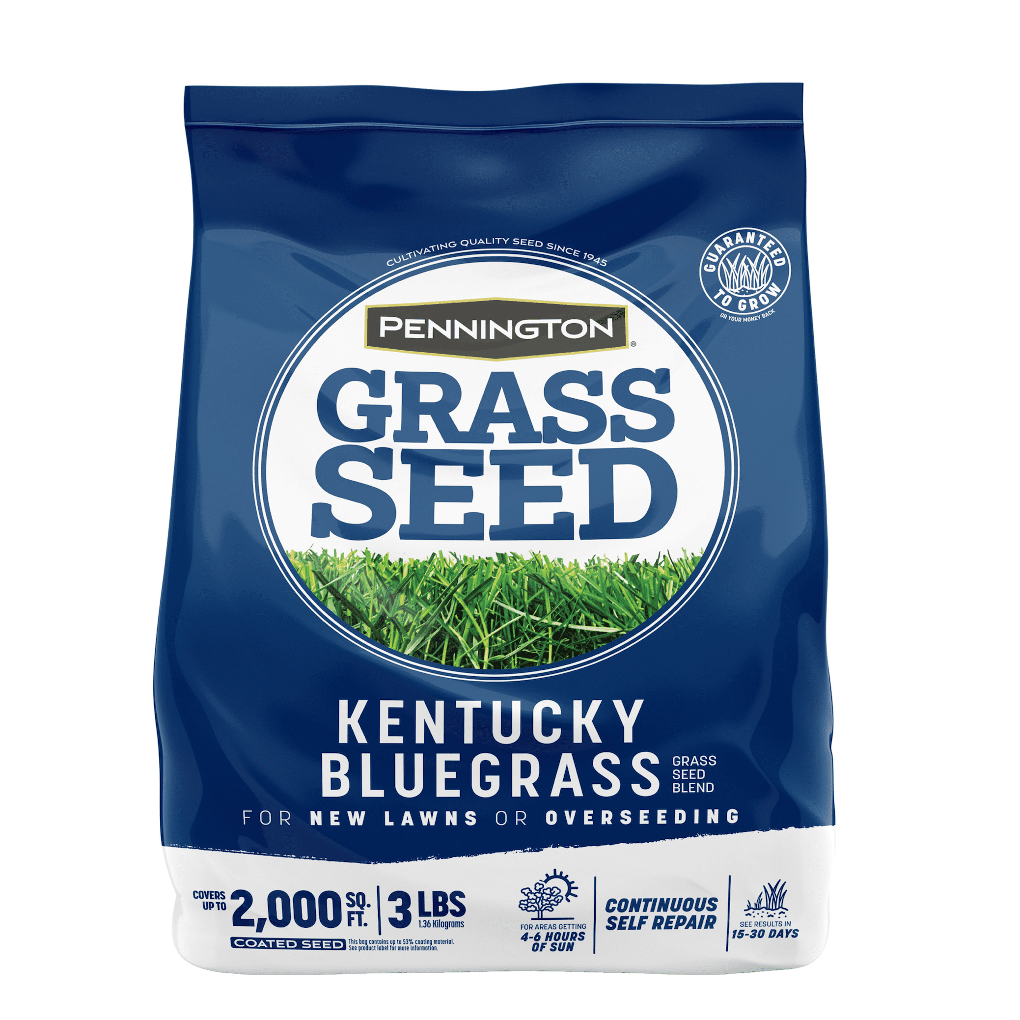 Pennington Kentucky Bluegrass Northern Grass Seed Mix, for Sun to Partial Shade, 3 lb.