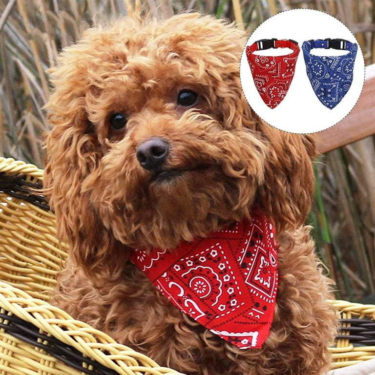 Dog with bandana outlet on head