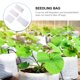 thumbnail image 5 of Moluckfu 400Ud Bolsas No Tejidas Para Plantas Transpirable Ideal Para Uso Interior Y Exterior, 5 of 6