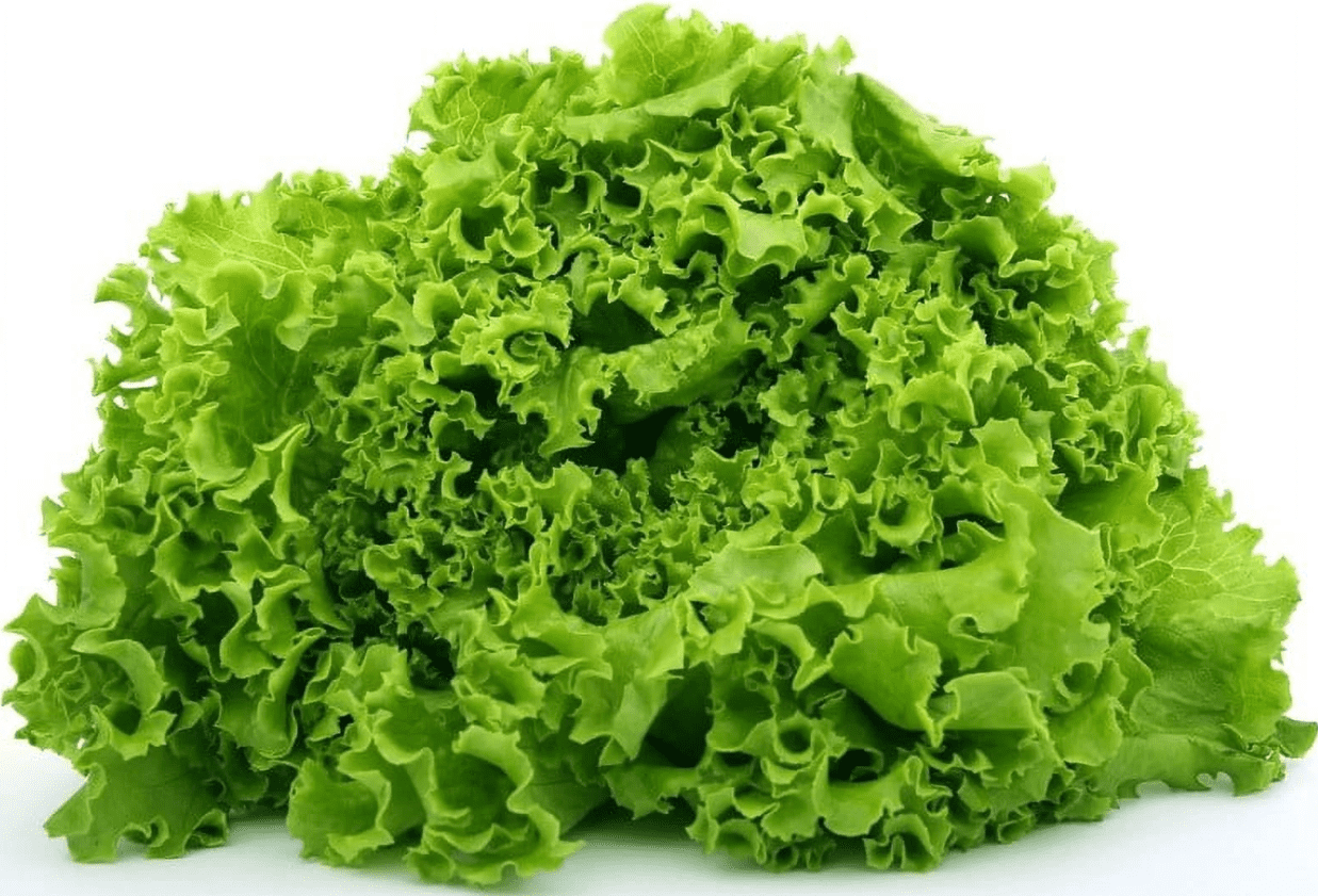 Fresh Green Leaf Lettuce, Each
