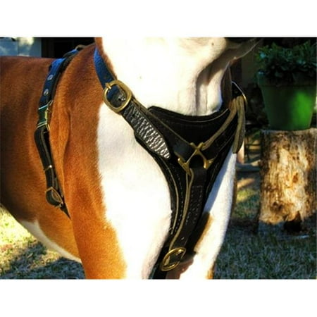 Dean & Tyler 682017004112 Deans Choice Brass Small Breastplate Leather Harness  Black - Medium