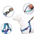 thumbnail image 5 of Pet Training Harness & Leash Set Walking Pet Chest Harness Training Rope FastRelease Harness EasyControl Harness Rope, 5 of 8