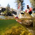 thumbnail image 4 of Señuelo de pesca Artificial de múltiples secciones de plástico ABS de 12cm/18g, cebo de natación, señuelos duros de mar, aparejos de pescaY145-5, 4 of 5