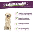 thumbnail image 2 of Amber NaturalZ Adizone for Dogs | Herbal Supplement for Mobility & Joint Support 4oz, 2 of 6