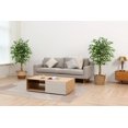 thumbnail image 2 of BWKJ Árboles artificiales Ficus de 5 pies con hojas y tronco realistas, árbol ficus falso de seda con maceta de plástico para guardería, árbol ficus sintético para oficina, hogar, casa de campo para decoración interior y exterior (juego de 2) BWKJ Cocina, Decoración y Otros, 2 of 3