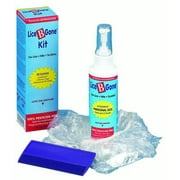 Lice B Gone Kit, 4 Oz, 4 Ct
