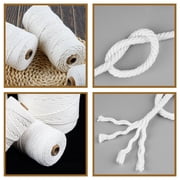 Natural Macrame Cord 4mm x 109Yards, Beige Macrame Rope, Cotton Cord for Wall Hanging, Plant Hangers, Christmas Crafts, Knitting